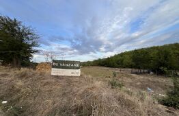 Teren in Filiasi 1000 mp / 30 ml front, toate utilitatile 