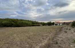 Teren in Filiasi 1000 mp / 30 ml front, toate utilitatile 