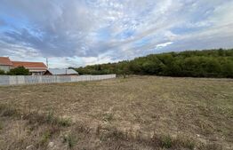 Teren in Filiasi 1000 mp / 30 ml front, toate utilitatile 