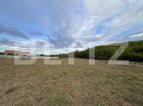 Teren de vânzare Filiaşi - 178839TV | BLITZ Craiova | Poza4