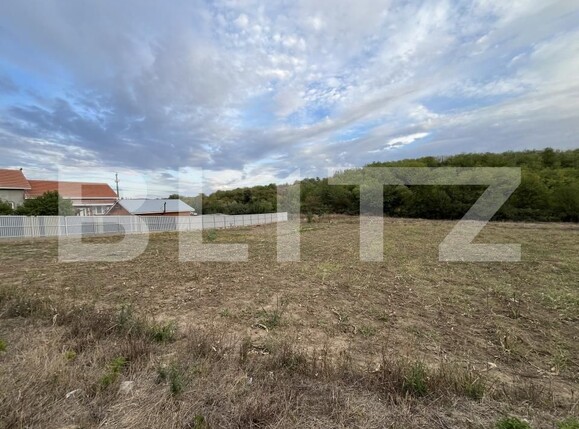 Teren de vânzare Filiaşi - 178839TV | BLITZ Craiova | Poza3