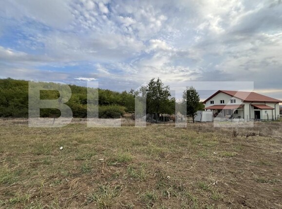 Teren de vânzare Filiaşi - 178839TV | BLITZ Craiova | Poza5