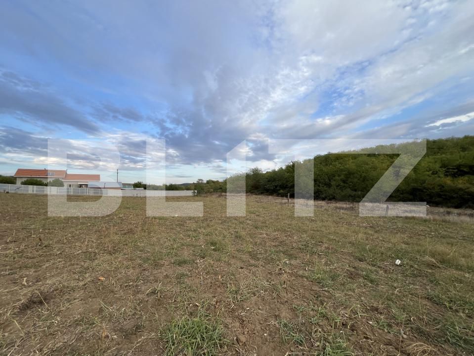 Teren de vânzare Filiaşi - 178839TV | BLITZ Craiova | Poza4