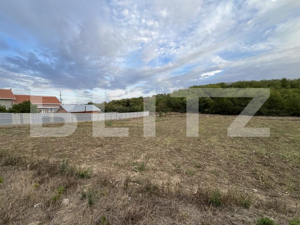 Teren de vânzare Filiaşi - 178839TV | BLITZ Craiova | Poza3