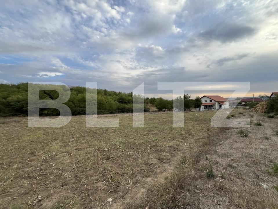 Teren de vânzare Filiaşi - 178839TV | BLITZ Craiova | Poza2