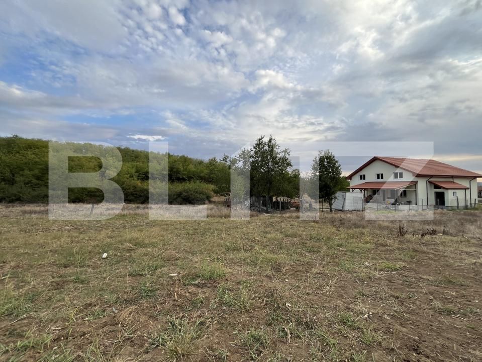 Teren de vânzare Filiaşi - 178839TV | BLITZ Craiova | Poza5