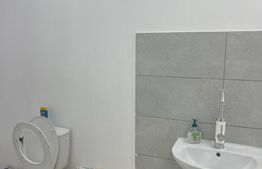 Hala 290,6 mp si 1263 mp teren, zona Carcea