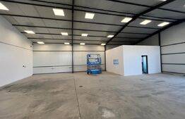 Hala 290,6 mp si 1263 mp teren, zona Carcea