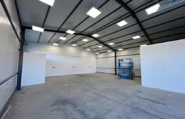 Hala 290,6 mp si 1263 mp teren, zona Carcea