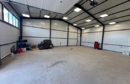 Hala 290,6 mp si 1263 mp teren, zona Carcea