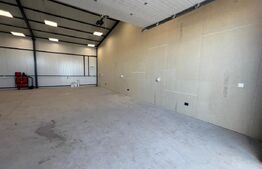 Hala 290,6 mp si 1263 mp teren, zona Carcea