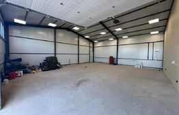 Hala 290,6 mp si 1263 mp teren, zona Carcea