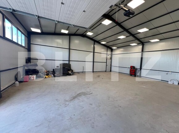 Spațiu industrial de închiriat Carcea  - 178904SII | BLITZ Craiova | Poza5