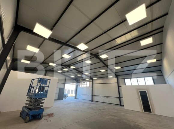 Spațiu industrial de închiriat Carcea  - 178904SII | BLITZ Craiova | Poza1