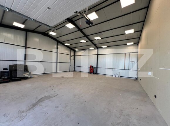 Spațiu industrial de închiriat Carcea  - 178904SII | BLITZ Craiova | Poza4
