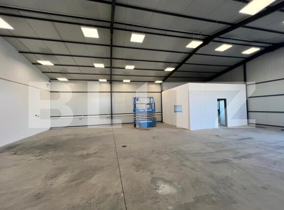 Spațiu industrial de închiriat Carcea  - 178904SII | BLITZ Craiova | Poza8
