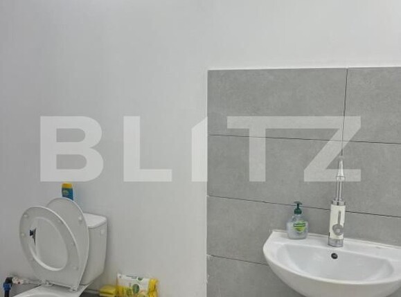 Spațiu industrial de închiriat Carcea  - 178904SII | BLITZ Craiova | Poza9