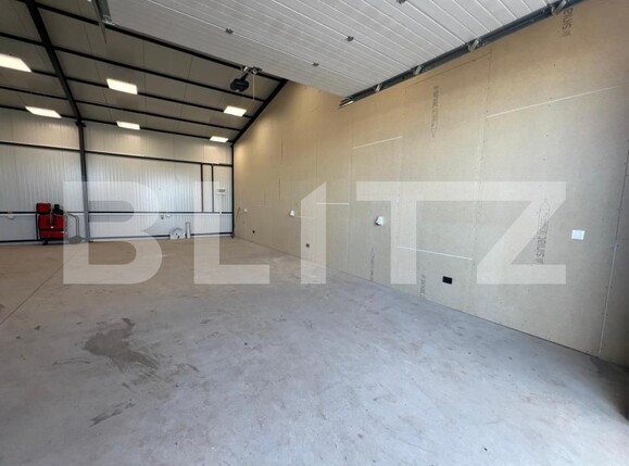 Spațiu industrial de închiriat Carcea  - 178904SII | BLITZ Craiova | Poza2