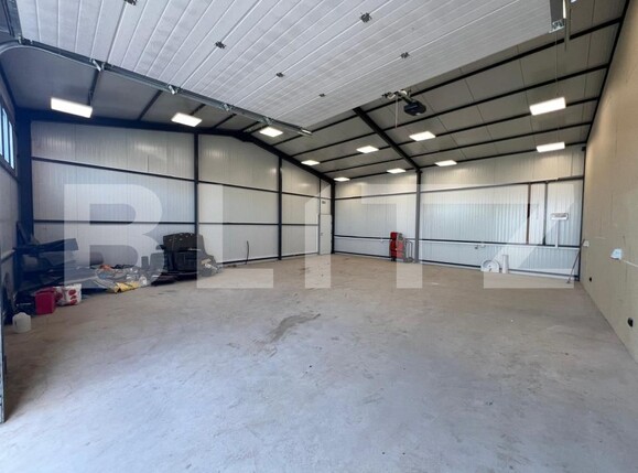 Spațiu industrial de închiriat Carcea  - 178904SII | BLITZ Craiova | Poza3