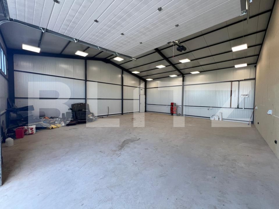Spațiu industrial de închiriat Carcea  - 178904SII | BLITZ Craiova | Poza3