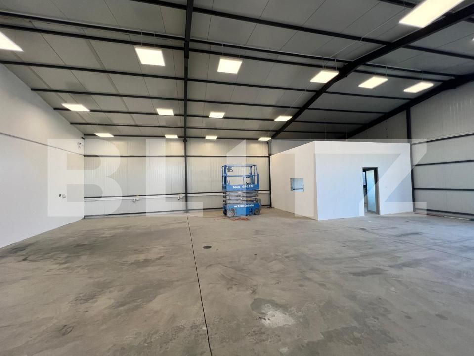Spațiu industrial de închiriat Carcea  - 178904SII | BLITZ Craiova | Poza8
