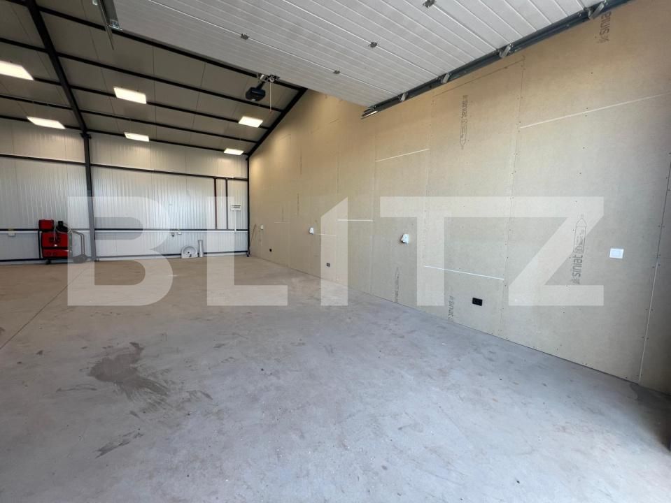 Spațiu industrial de închiriat Carcea  - 178904SII | BLITZ Craiova | Poza2