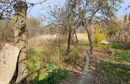 Teren 1160 mp + casa batraneasca, zona Cosoveni