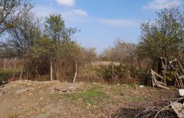 Teren 1160 mp + casa batraneasca, zona Cosoveni