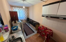 Camera de camin, 12 mp, zona Valea Rosie