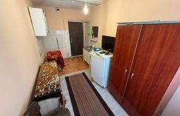 Camera de camin, 12 mp, zona Valea Rosie