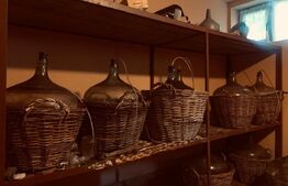 Vilă 380mp, cu panoramă și curte de 2100 mp în Cârcea