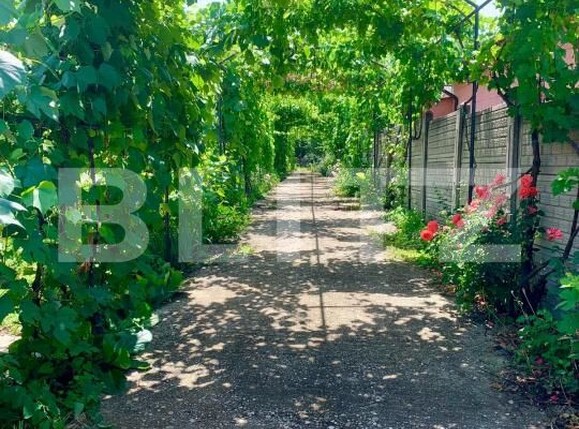 Casa de vânzare 7 camere Carcea  - 178958CV | BLITZ Craiova | Poza24