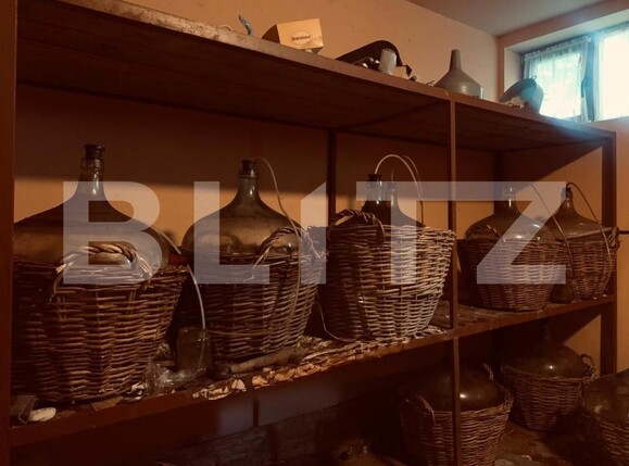 Casa de vânzare 7 camere Carcea  - 178958CV | BLITZ Craiova | Poza23