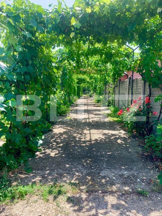 Casa de vânzare 7 camere Carcea  - 178958CV | BLITZ Craiova | Poza24