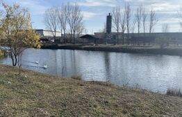 Teren intravilan 500mp, Pielesti