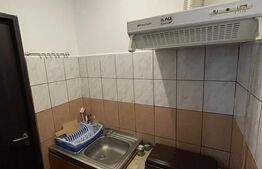 Garsonieră de vânzare, 16.21 mp, Calea Severinului - Brico Depot