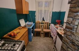 Apartament de vanzare, 51 mp, zona Paltinis