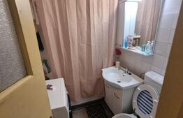 Apartament de vanzare, 51 mp, zona Paltinis