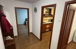 Apartament cu 3 camere, 70 mp, zona Rovine/Gara