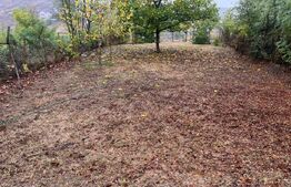 Teren intravilan, 1500 mp, sat Carligei