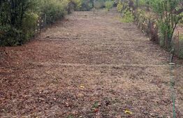 Teren intravilan, 1500 mp, sat Carligei