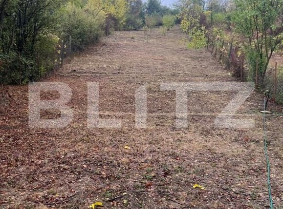 Teren de vânzare Bucovat - 179081TV | BLITZ Craiova | Poza3