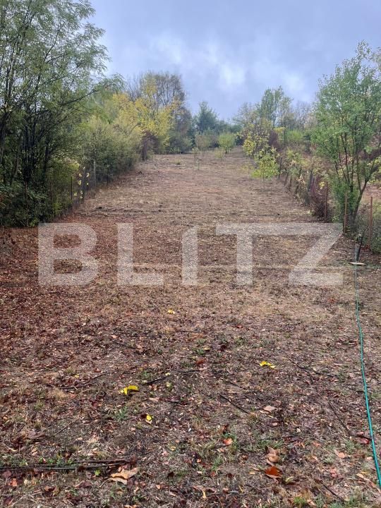 Teren de vânzare Bucovat - 179081TV | BLITZ Craiova | Poza3