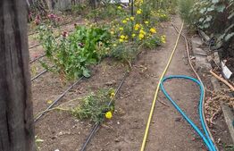 Casă 4 camere, 790 mp teren, zona Bariera Vîlcii