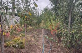 Casă 4 camere, 790 mp teren, zona Bariera Vîlcii