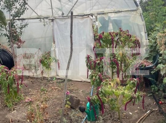 Casa de vânzare 5 camere Bariera Valcii - 179096CV | BLITZ Craiova | Poza8