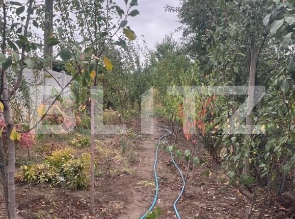 Casa de vânzare 5 camere Bariera Valcii - 179096CV | BLITZ Craiova | Poza10