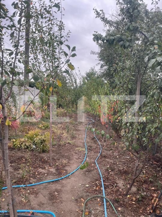 Casa de vânzare 5 camere Bariera Valcii - 179096CV | BLITZ Craiova | Poza10