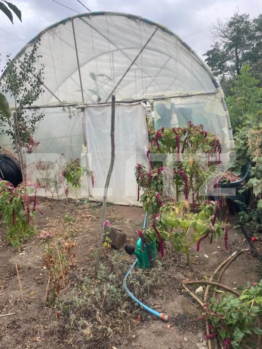 Casa de vânzare 5 camere Bariera Valcii - 179096CV | BLITZ Craiova | Poza9