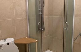 Apartament 4 camere, 120 mp, zona Central